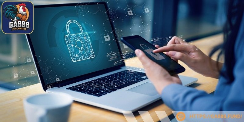 Hoạt động từ các tài khoản cá cược được rà soát chặt chẽ