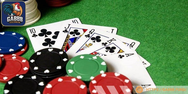 Không nên quá đặt nặng thắng thua vào cá cược