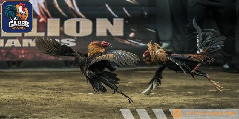 Phân tích và ra quyết định đúng lúc