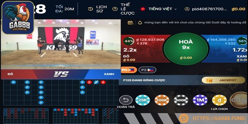 Kèo cược hấp dẫn