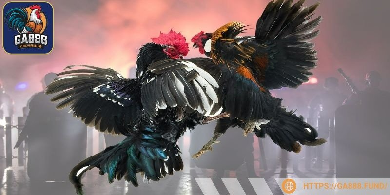 Đừng quên kiểm tra lối đối kháng của chúng