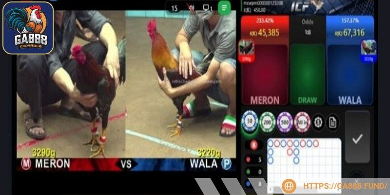 Khám phá cách chọn hiệu quả