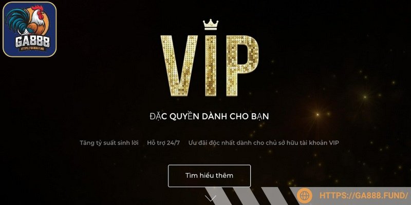 Thành viên VIP nhận được nhiều đặc quyền khủng