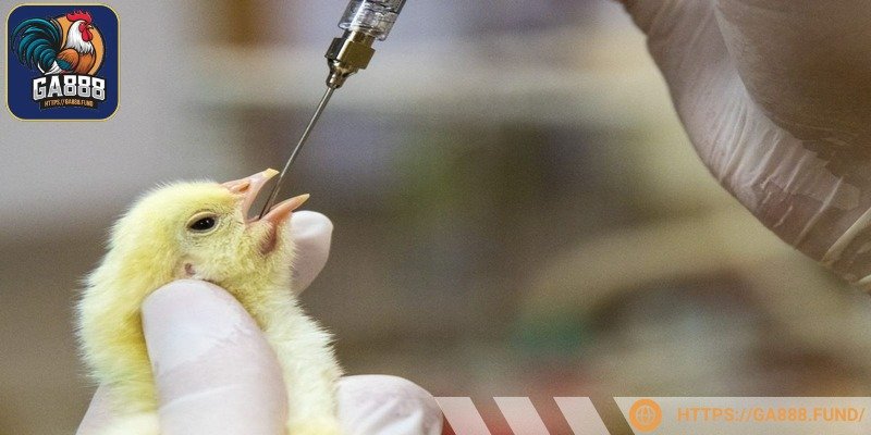 Chọn loại thuốc chứa hoạt chất phù hợp