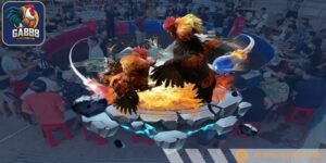 Hệ thống kèo tại Savan được cập nhật liên tục