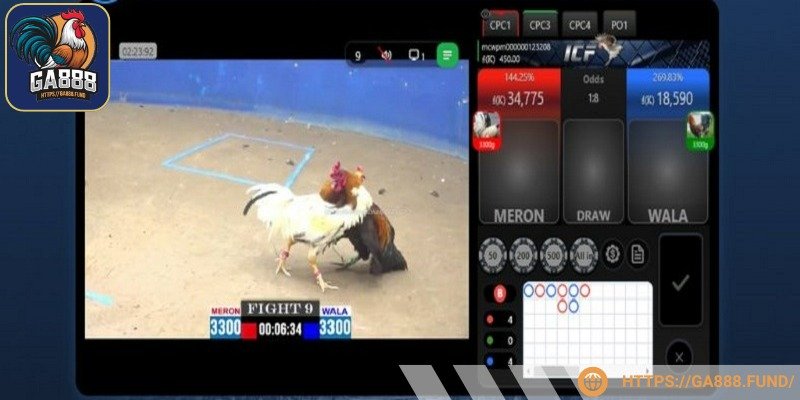 Sở hữu tài khoản nhà cái là bước đầu tham gia đá gà GA888