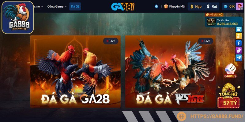 Chọn nền tảng uy tín, đáng tin cậy