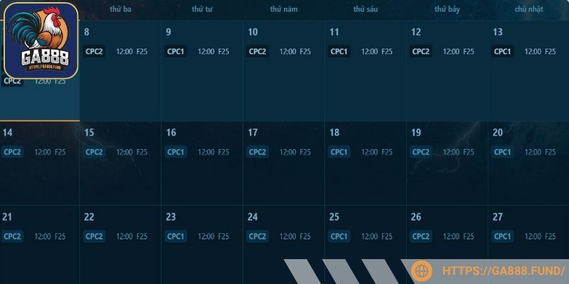 Các trận đá gà hot được cập nhật liên tiếp mỗi ngày